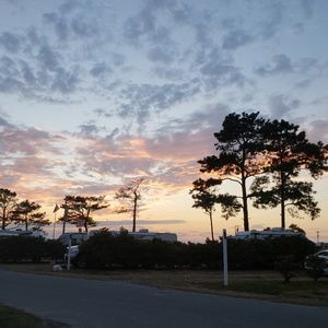 Meet your Posher, Caitlyn